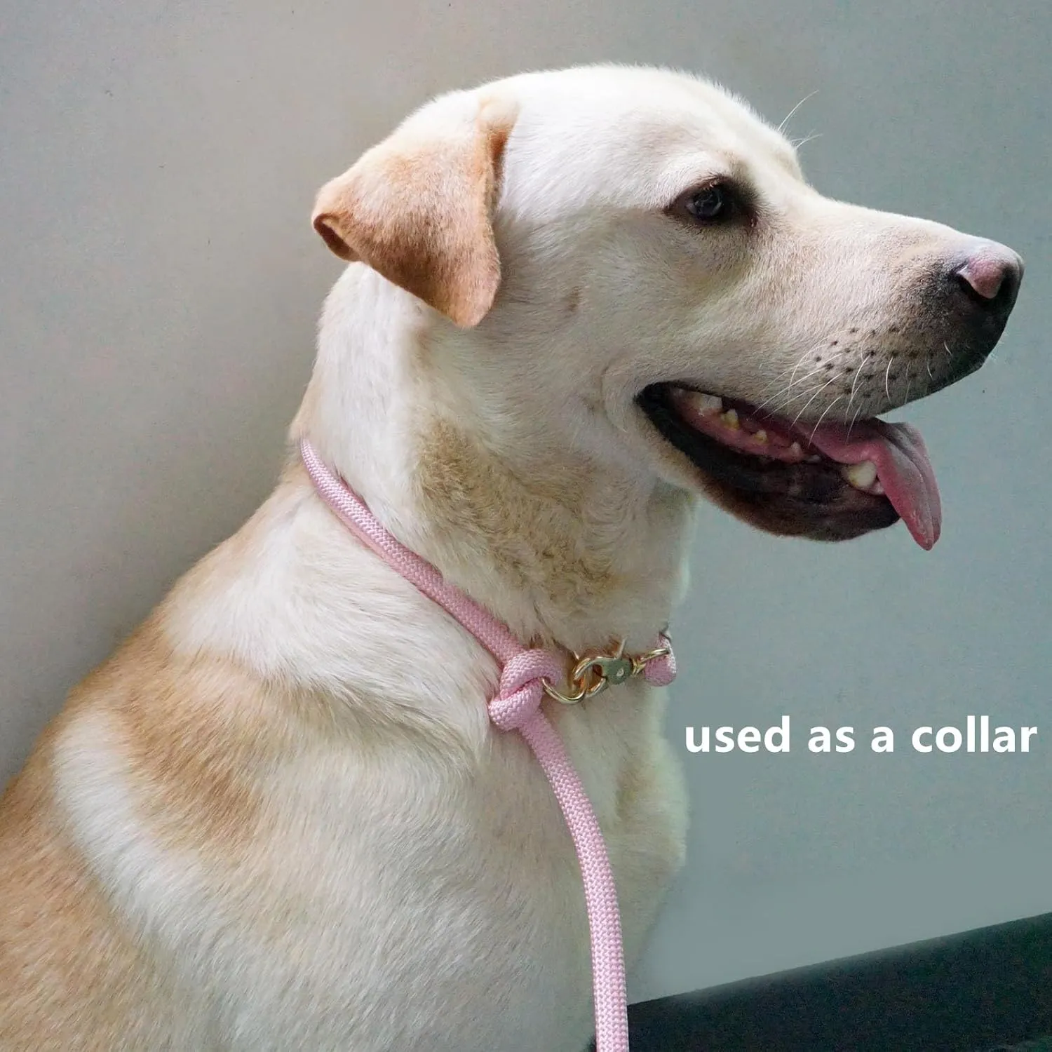 8.5ft Hands Free Nylon Rope Leash - Adjustable Crossbody Dog Walking Leash