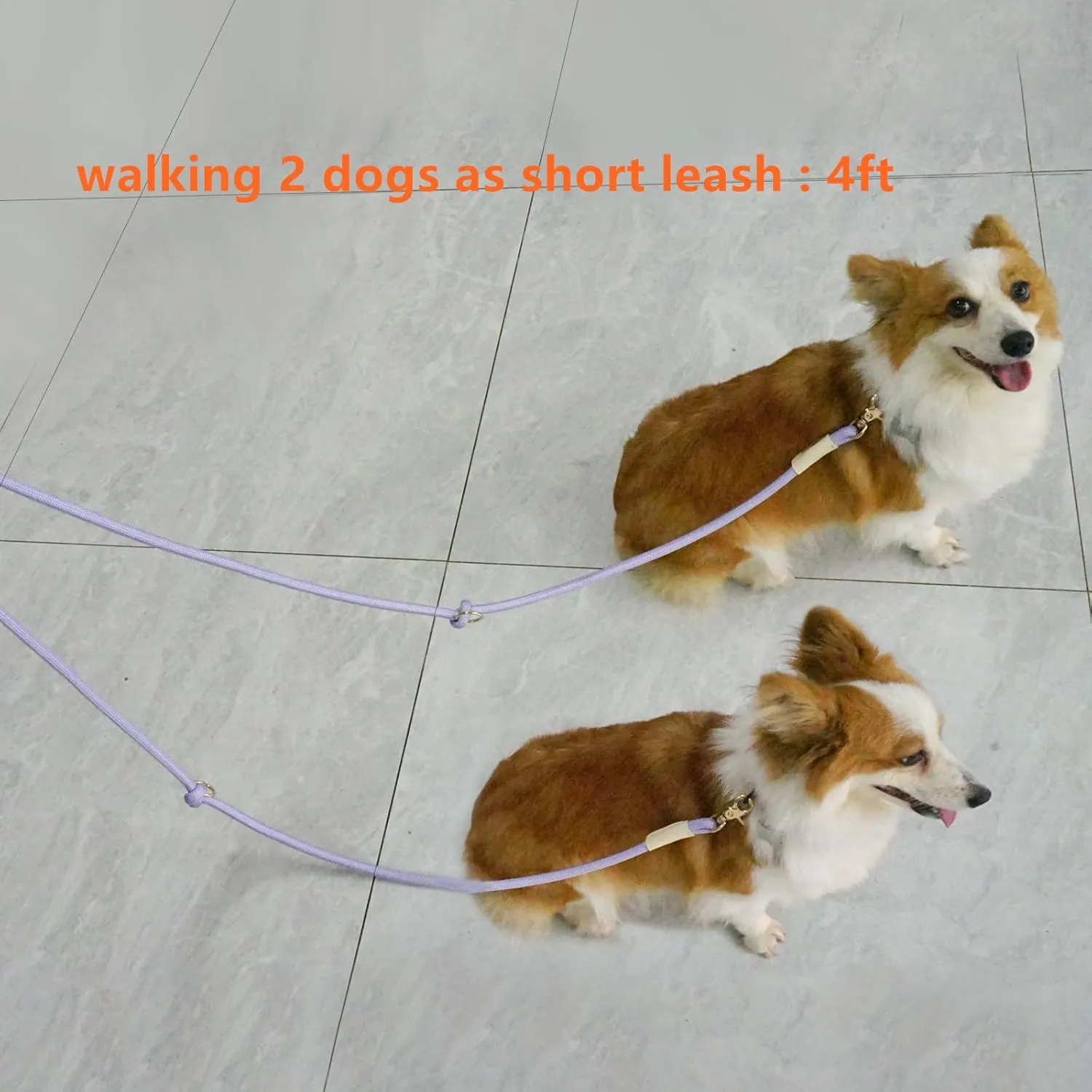 8.5ft Hands Free Nylon Rope Leash - Adjustable Crossbody Dog Walking Leash